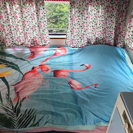 Balistyle Guesthouse Incl Hottub Near Amsterdam And Haarlem Велсен-Зуйд Екстер'єр фото